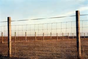 live-stock-fencing